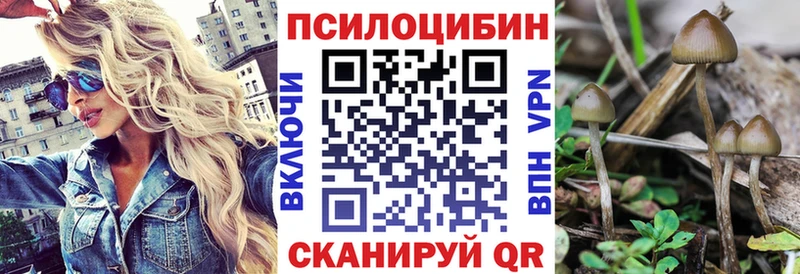 Галлюциногенные грибы Magic Shrooms  купить наркотики цена  Кашин 