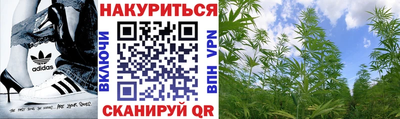 Канабис Amnesia  хочу наркоту  Кашин 